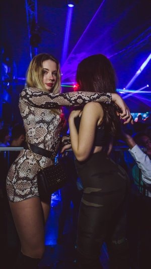 Profiili